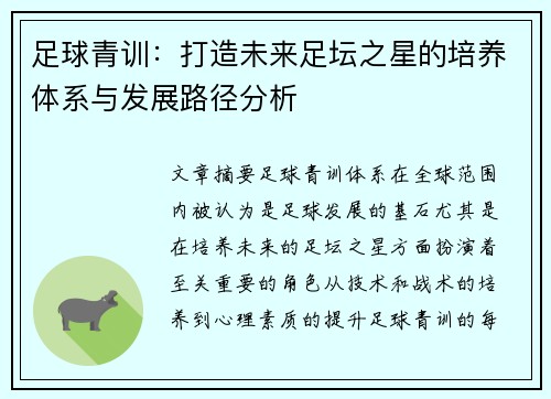 足球青训：打造未来足坛之星的培养体系与发展路径分析